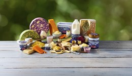 Dairy in China – Consumer insights webinar